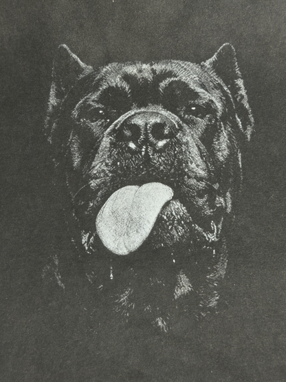 CORSO TEE